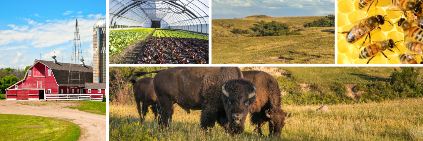 About Us North Dakota masthead