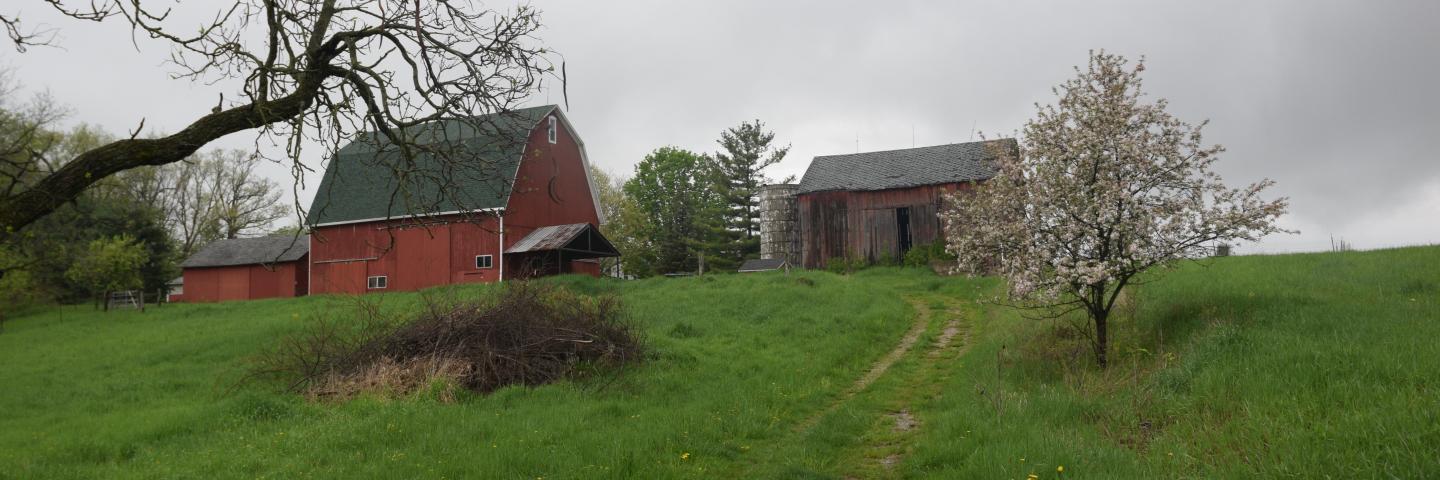 Farmland enrolled in a conservation easement.