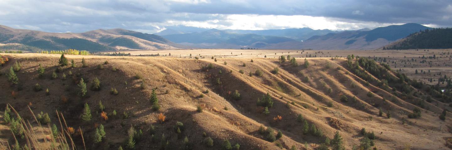 rangeland in Montana