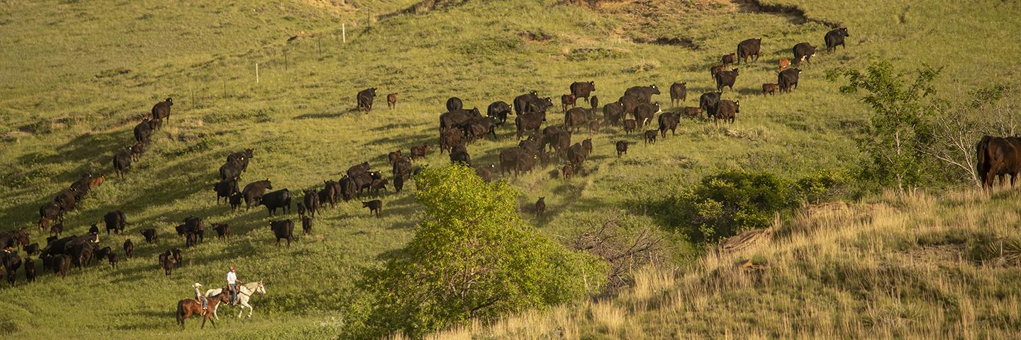 Ranch in Western SD