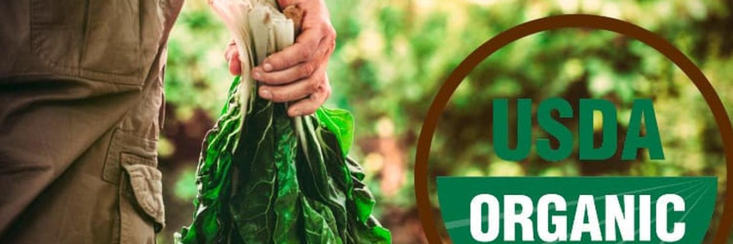 USDA’s Organic Transition Initiative