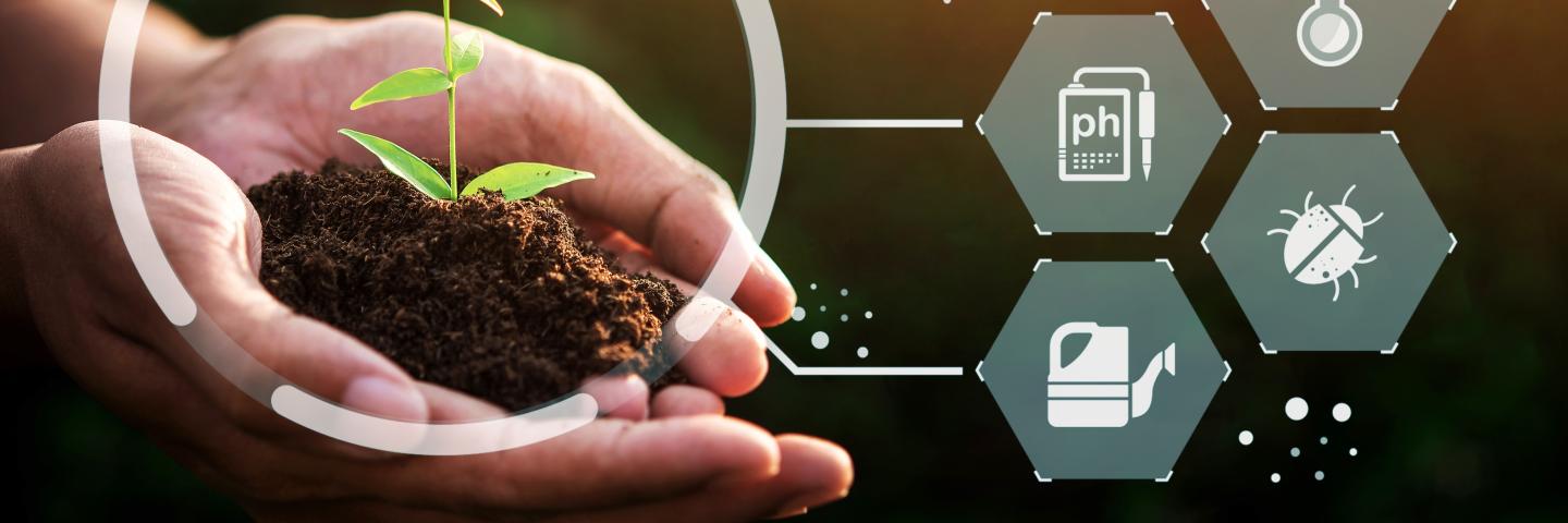 Hands holding soil with a sampling growing from the soil, graphics of soil health components pointing to the image