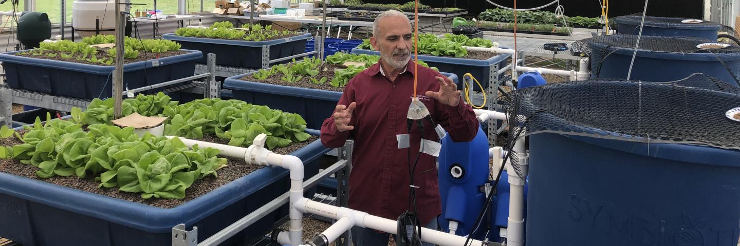 Dr. Masabni explains to the science of growing crops in urban and suburban setting with lettuce growing in an indoor vertical hydroponic farming system.