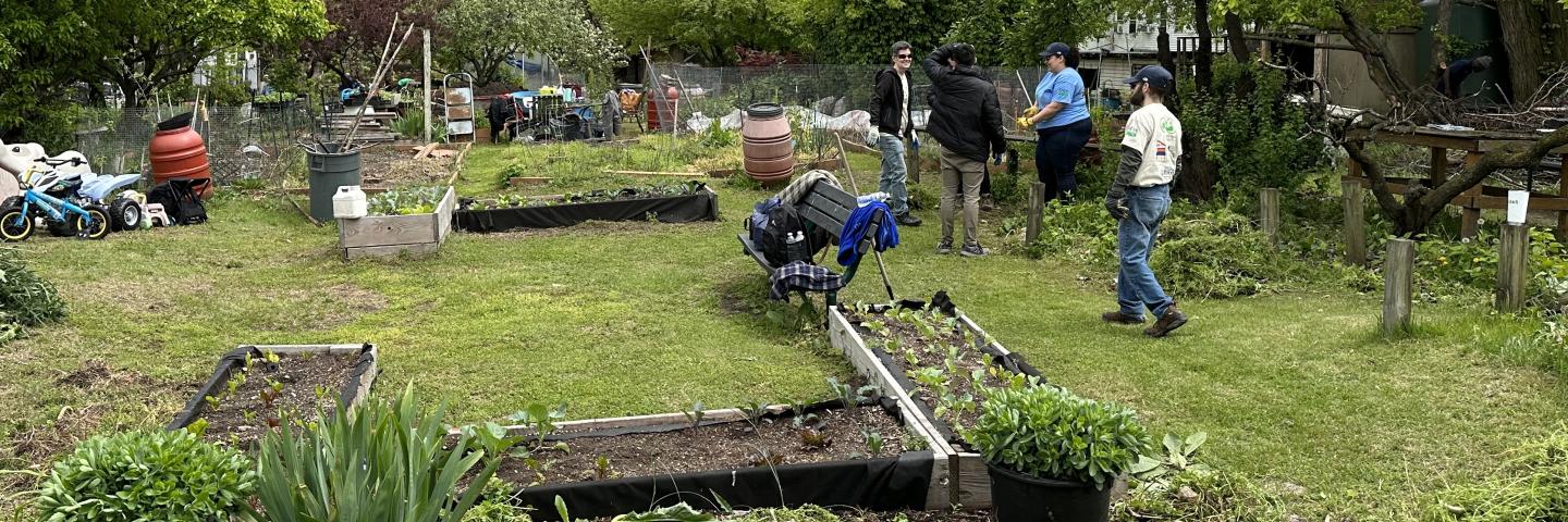 workers in a garden