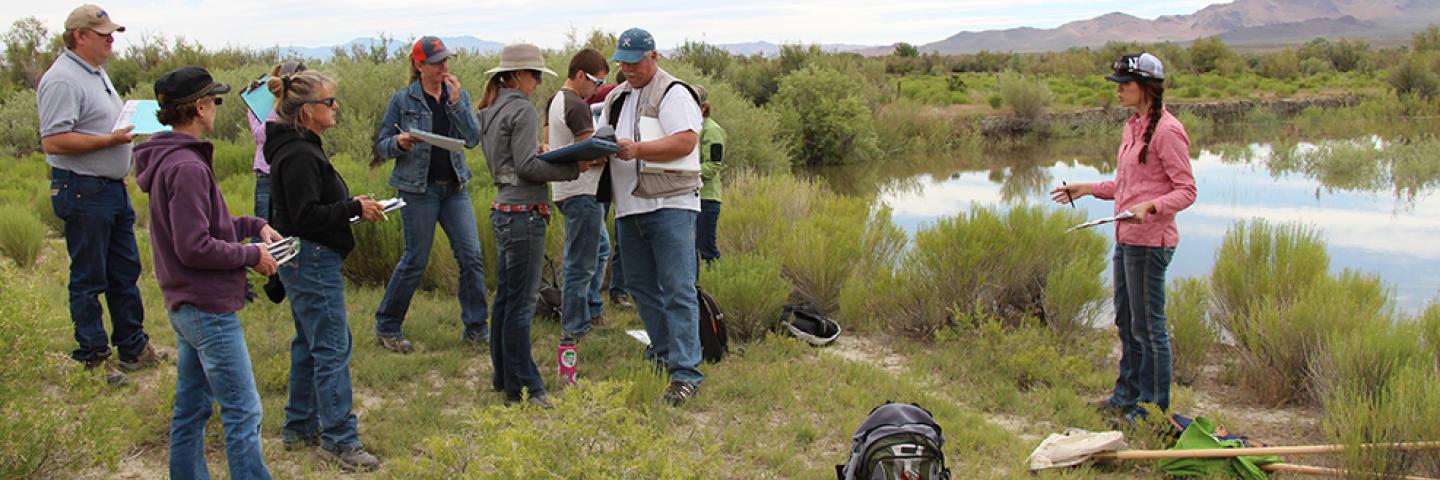 A group of people meeting in a field next to a pond.