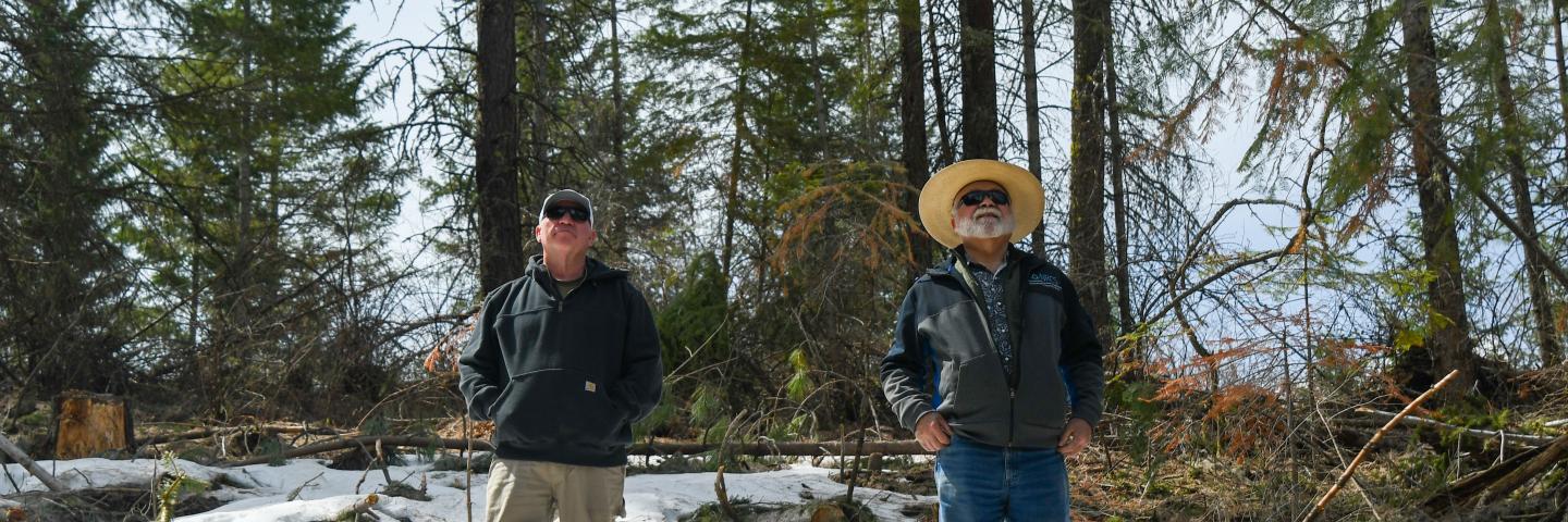 Mike Burton and Terry Puckett stand in a snow covered forest stand