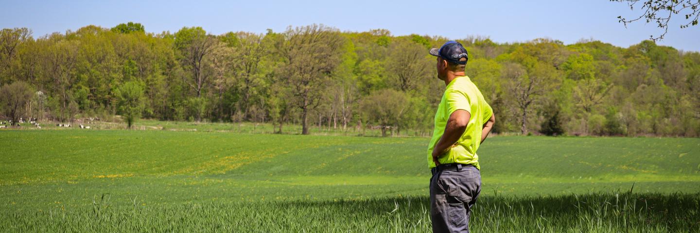 Man in a bright yellow shirt and grey pants standing in a field looking out at the farm property.