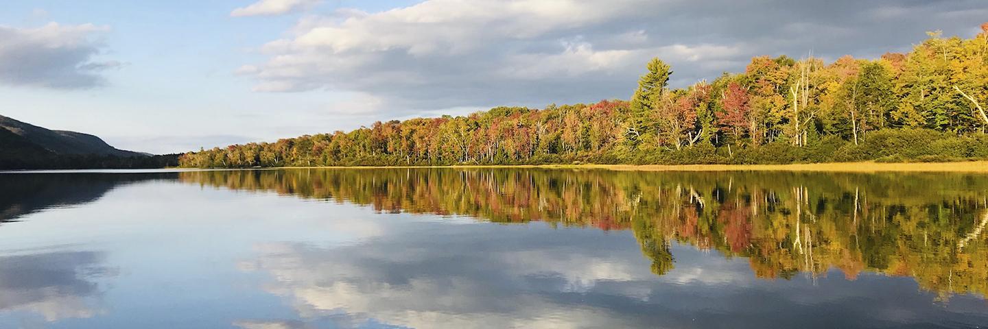 Calm lake reflecting fall-colored leaves on trees