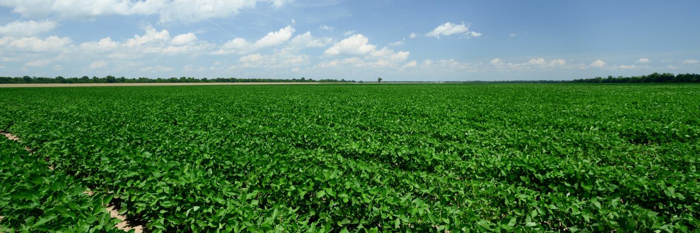 Louisiana Conservation Technical Assistance