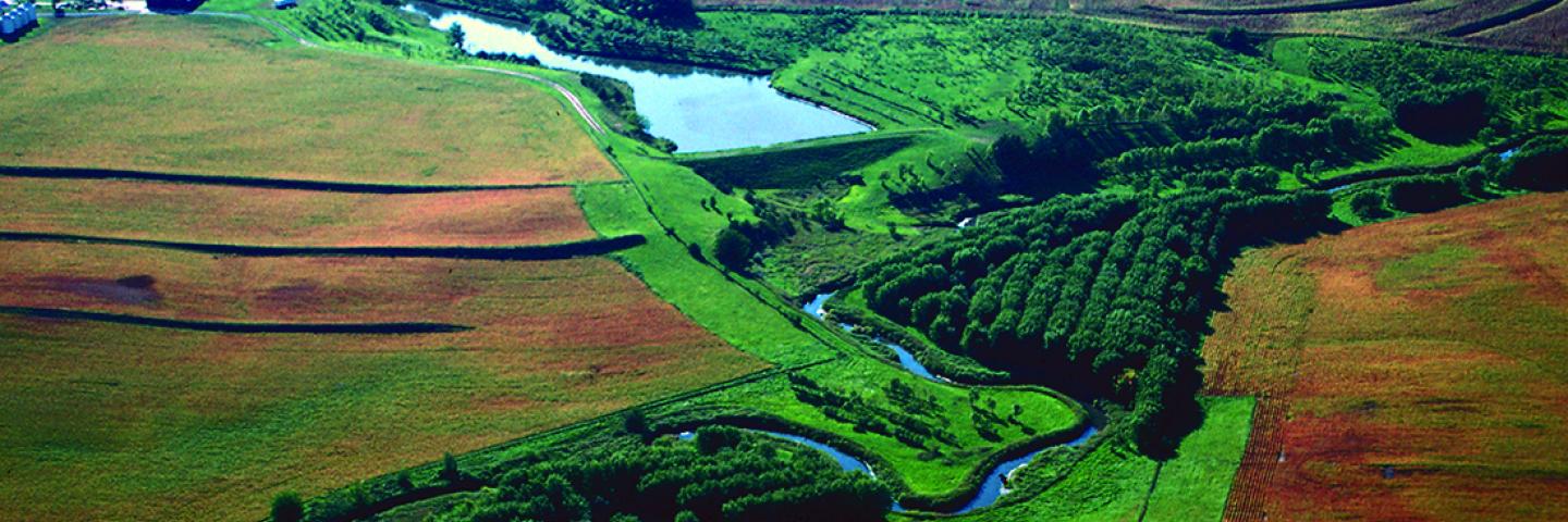Conservation Systems
