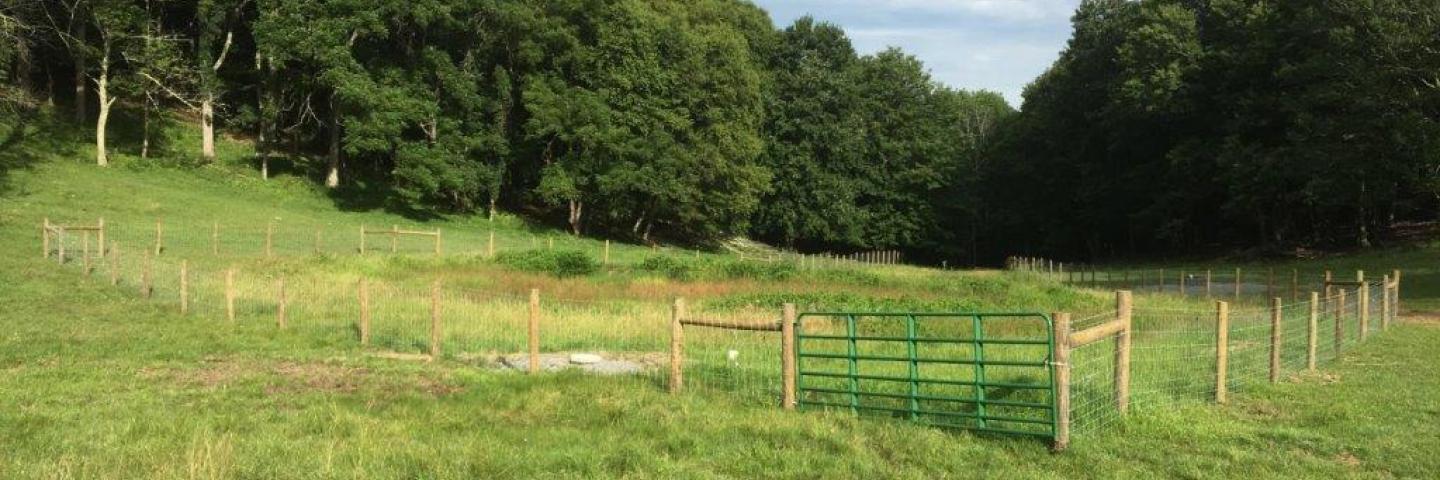 West Virginia green pasture with fence