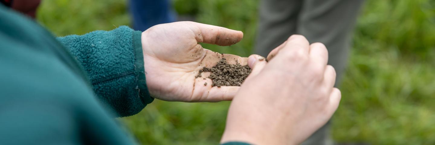 soil in hands