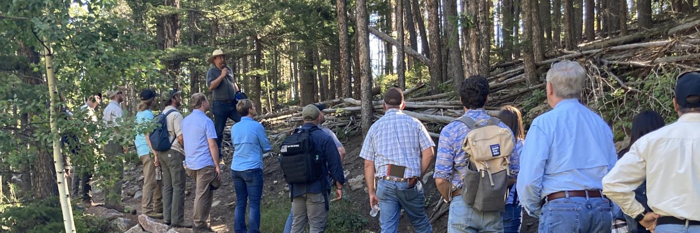 Foresters in Colorado attending field day during National Wild Turkey Federation Meeting in Colorado August 2023