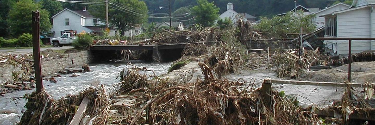 Downed tree limbs, roots and broken poles clogging a riverbed among houses