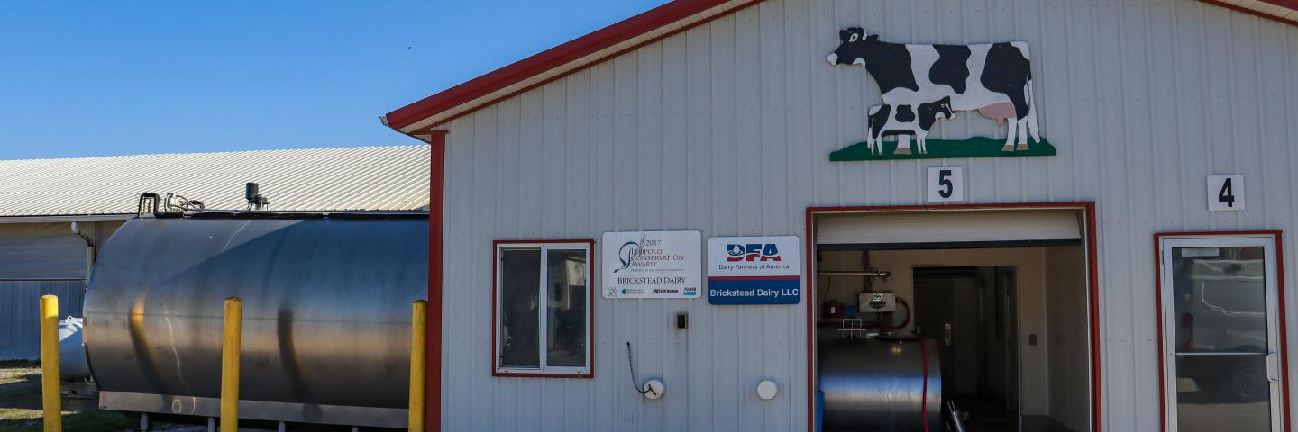 Brickstead Dairy main barn