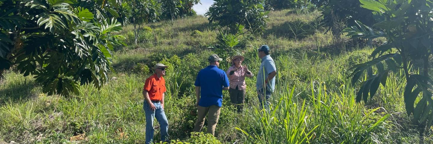 NRCS Caribbean Area staff discussing conservation techniques with land owners.