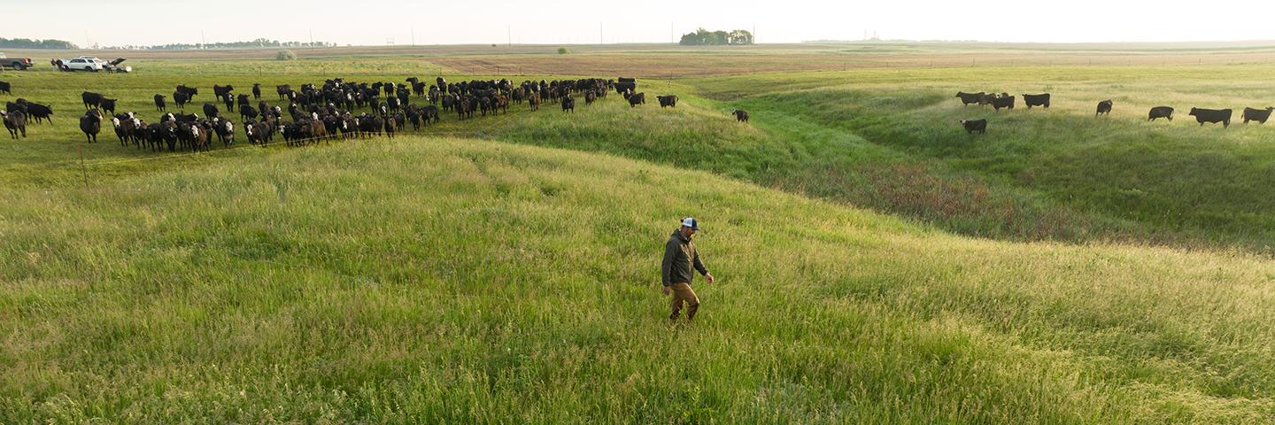 Blaalid Ranch in Mitchell, SD