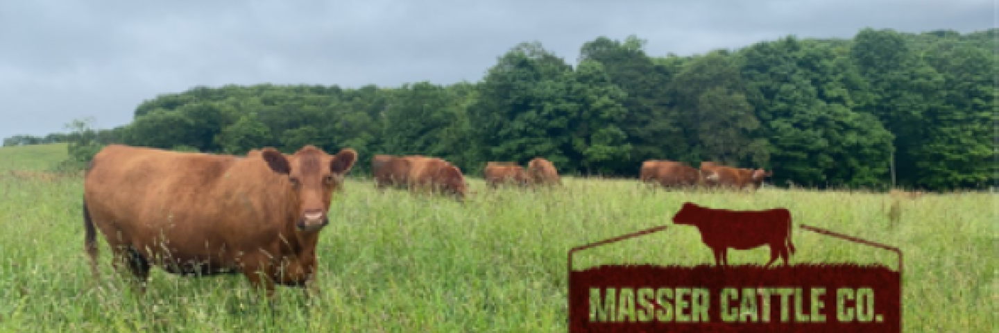 Masser Cattle Company