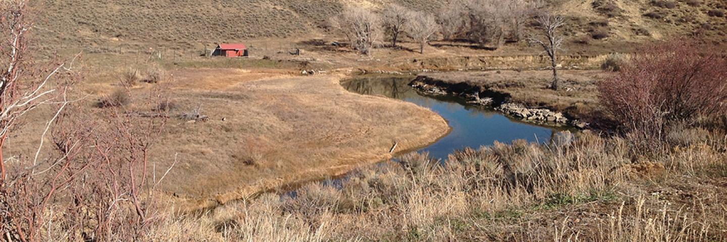 Streambank Stabilization Project Withstands High Spring Flows