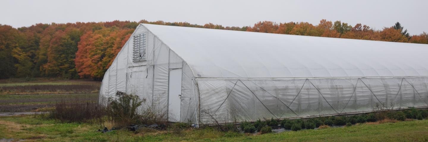 Seasonal high tunnel in Emmet County.
