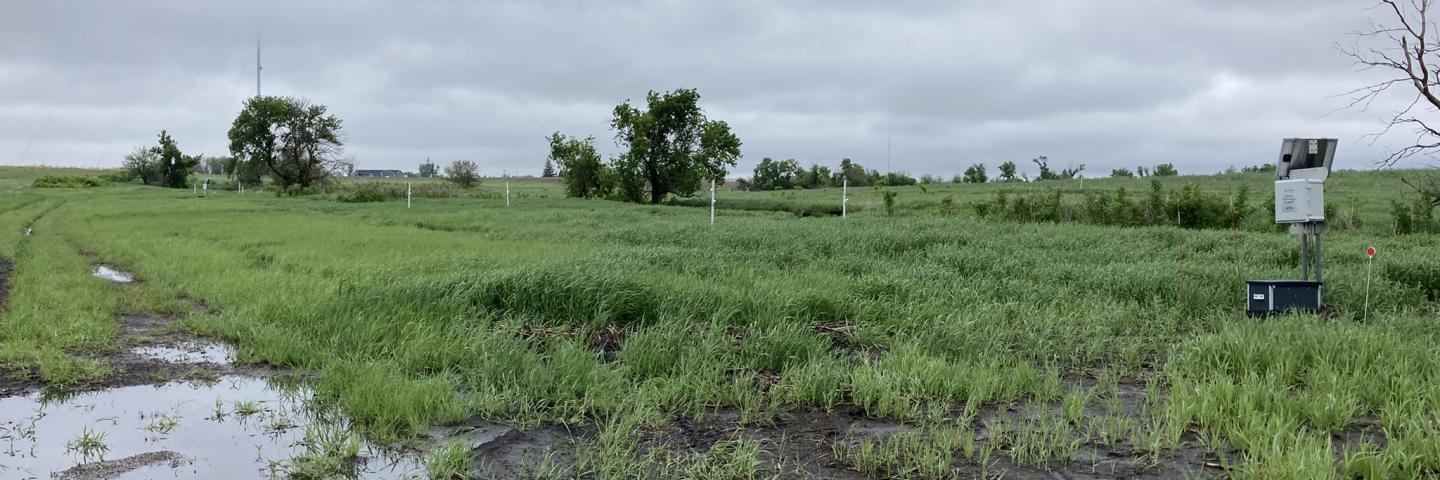 Iowa Buffer