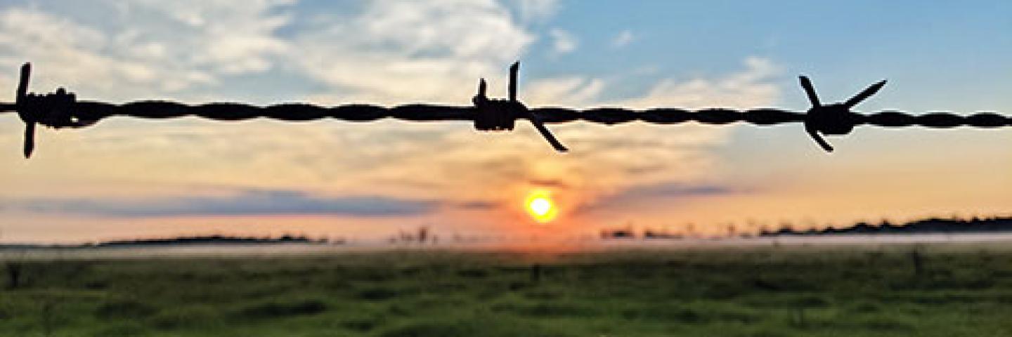 Fence wire over sunset sky with clouds and grass field.