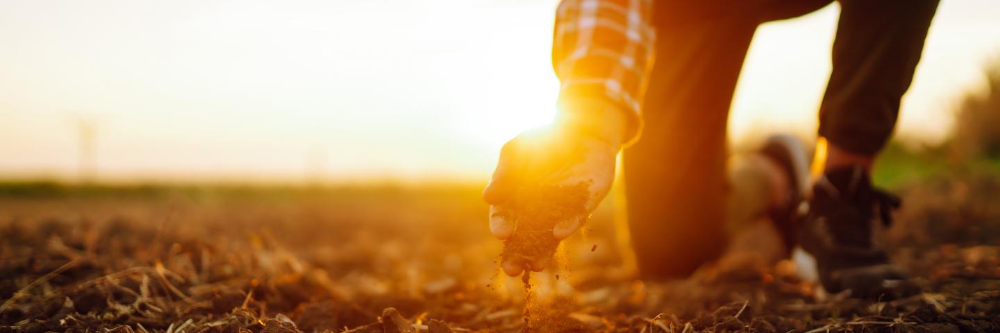 Picture of technician examining soil