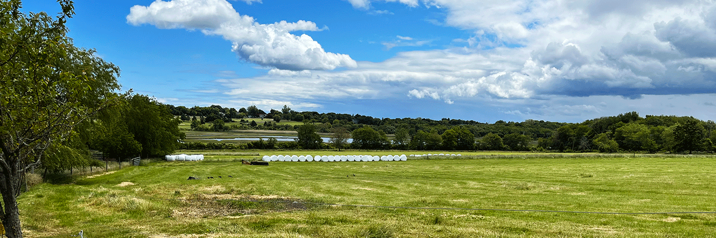 Windmist Farm hay pastures with salt marsh in the background, Jamestown, RI, June 2023.