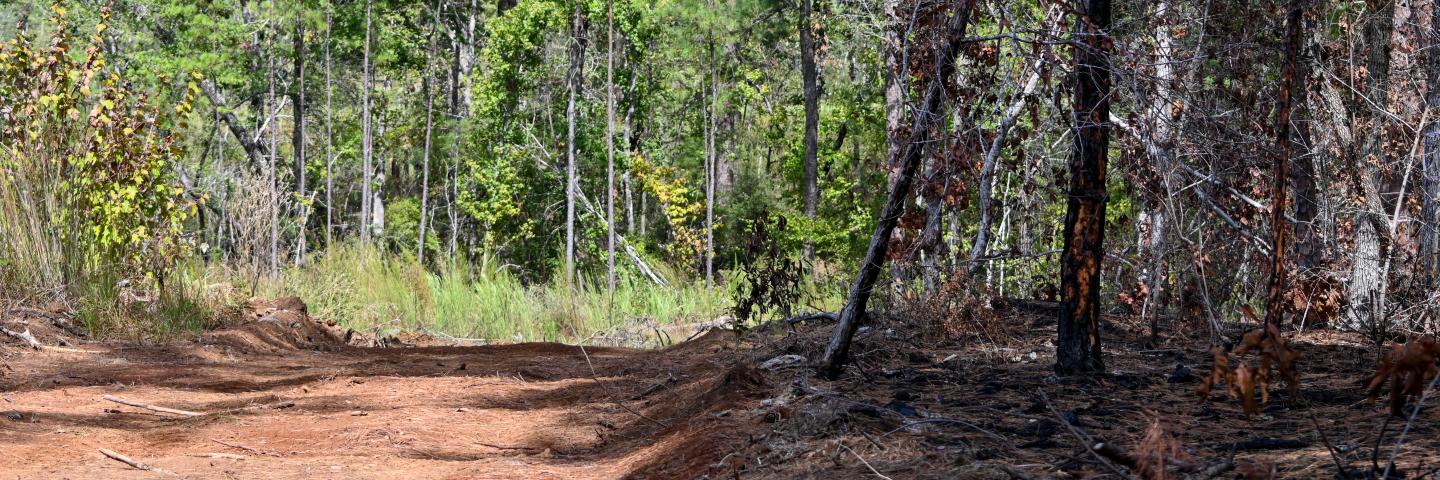 NRCS Programs Kept Landownder Out of the Line of Fire