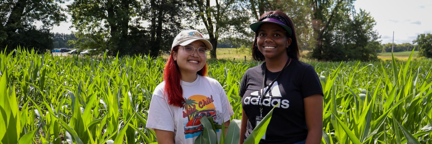 Two interns posing in a corn field on a sunny day