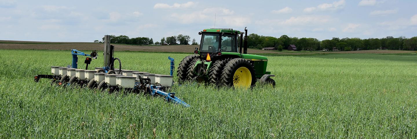 Bob Hunget no-till plants soybeans into a knee-high cereal rye cover crop on Ron Stone's cropland north of Indianola on May 18, 2023. Stone will have the cereal rye terminated soon after planting.