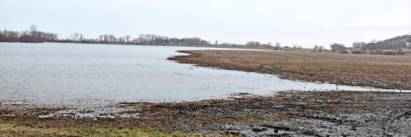 Flooded cropland in Iowa.