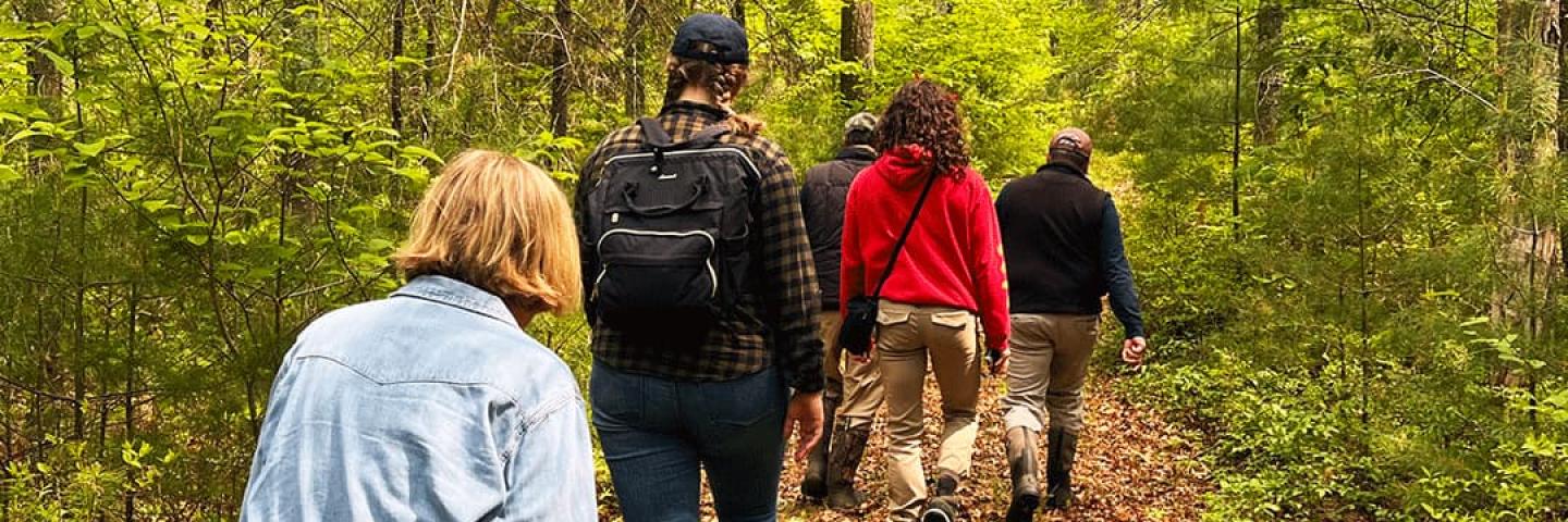 People walking through a forest in northern Rhode Island.