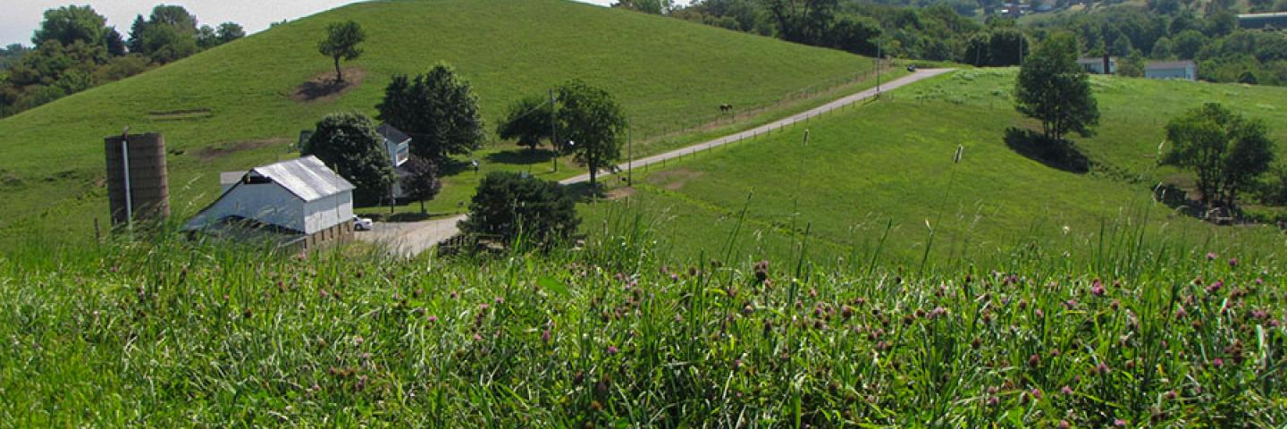 West Virginia Landscape with Farm