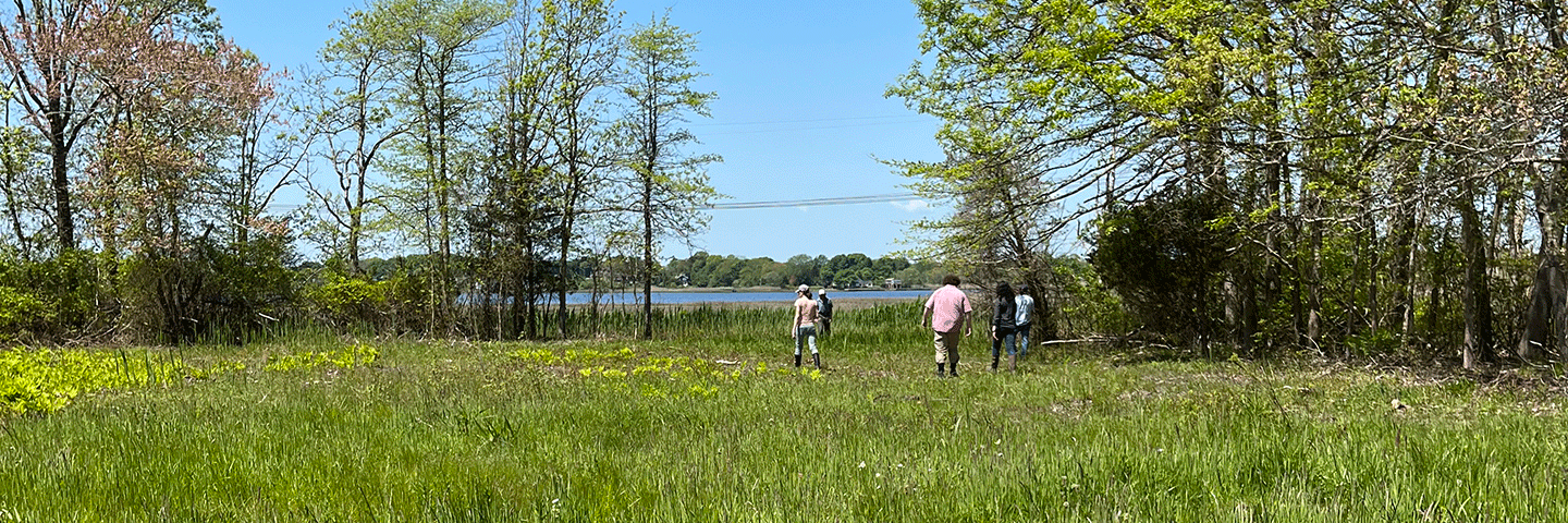 NRCS staff and partners from the Warren Land Conservation Trust walk evaluate progress in the Sowam's Meadow salt marsh restoration project in Warren, RI.