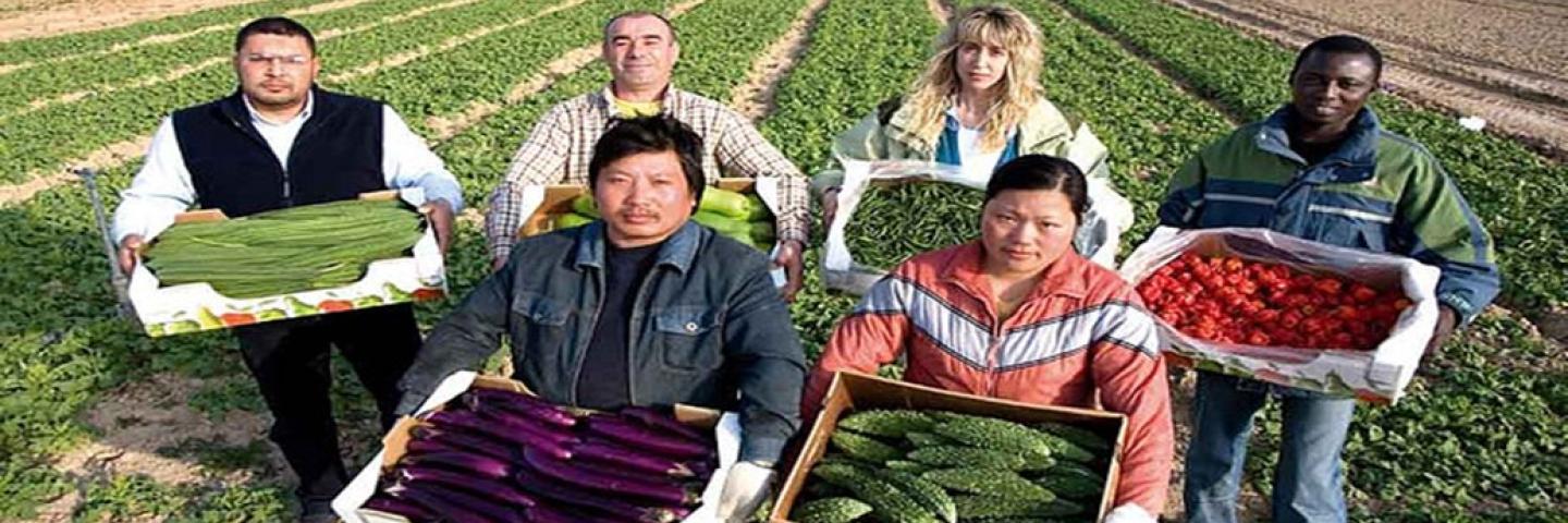 Diverse Agricultural Producers
