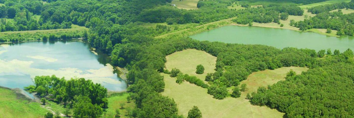 Sallisaw 13 and 19 sites