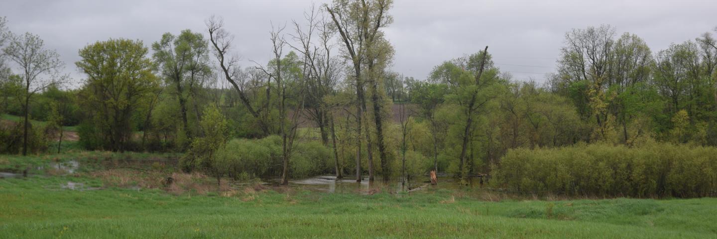Conservation land easement in Southeast Michigan.