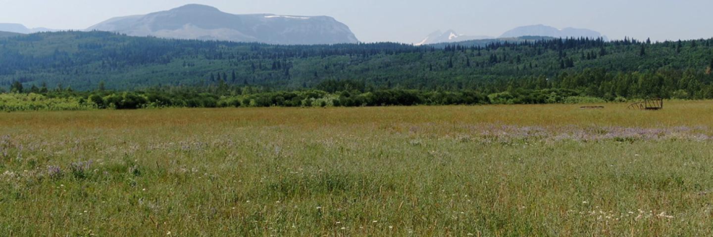 Landscape of the Vaile Ranch on with pasture and mountains.