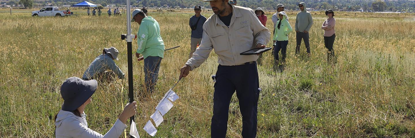 Many people in a grassy field with mountains in the background. Some people are observing the grasses, and some people are operating a Global Positioning Unit. 