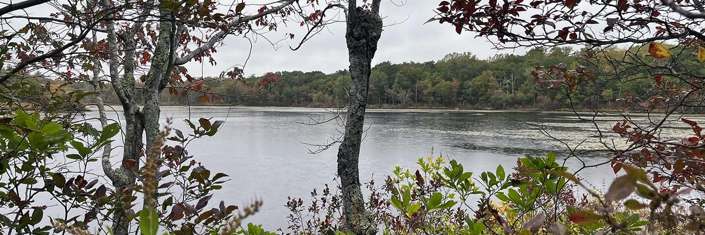 Pond in Hopkinton, Rhode Island, in the headwaters of Tomaquag Brook - Pawcatuck River watershed.
