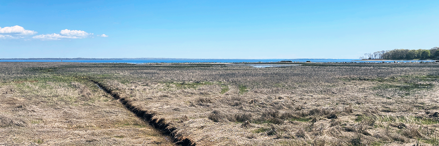 Intersecting runnels at Rocky Hill WRE in Warwick, RI, with Narragansett Bay in the background - July 2024