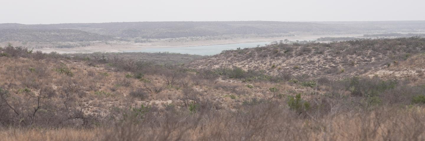 View of the property looking towards the Rio Grande River which forms the boundary for a portion of the ranch.