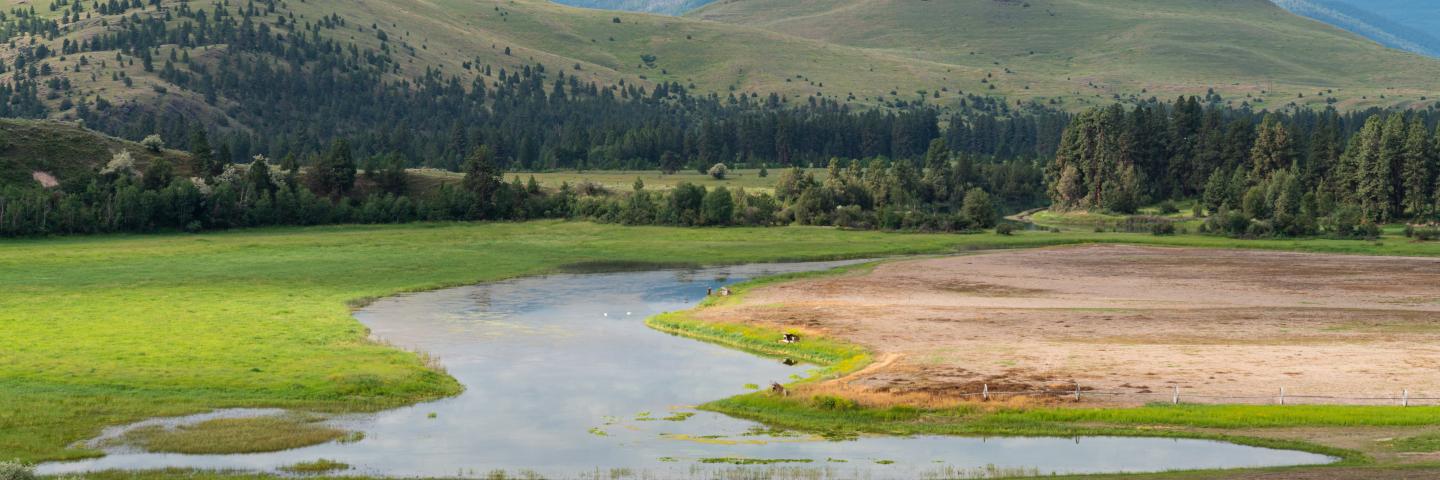 field with stream and mountains