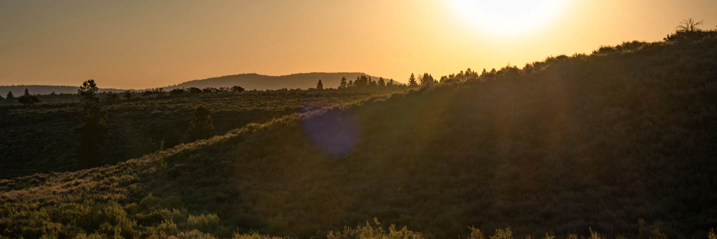 Sagebrush conservation planning
