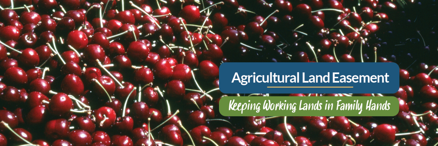 Agricultural Easement Program - Keeping Working Lands in Family Hands