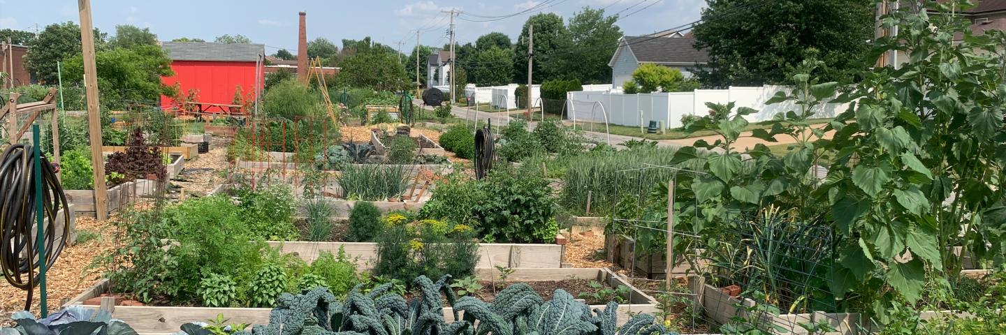 Raised Beds St. Louis