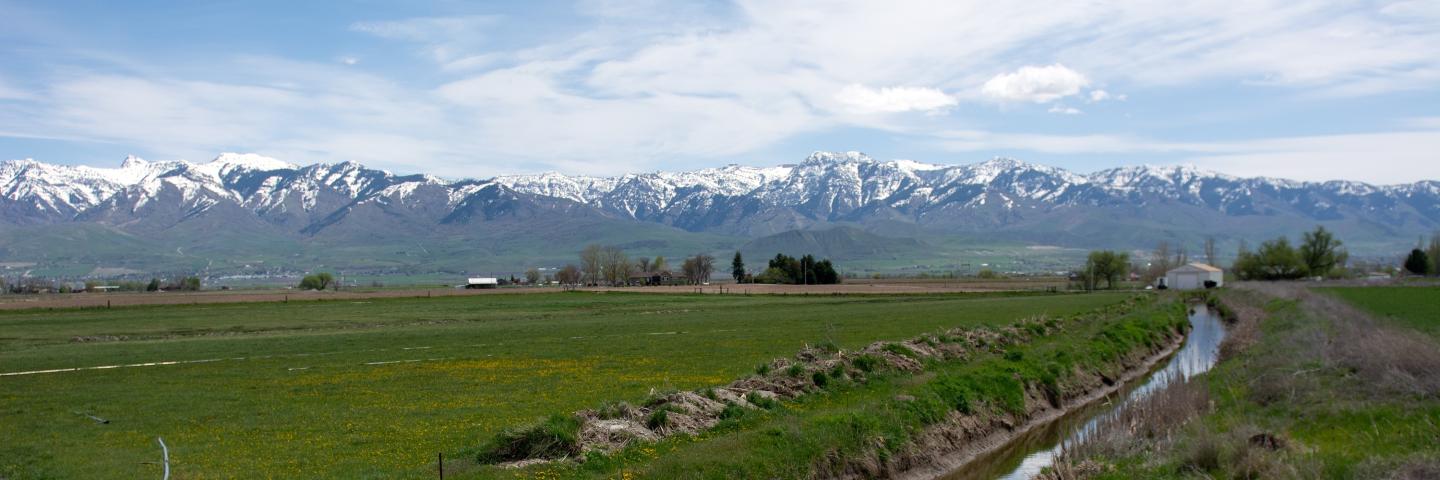 Field and canal in Trenton, Utah.
