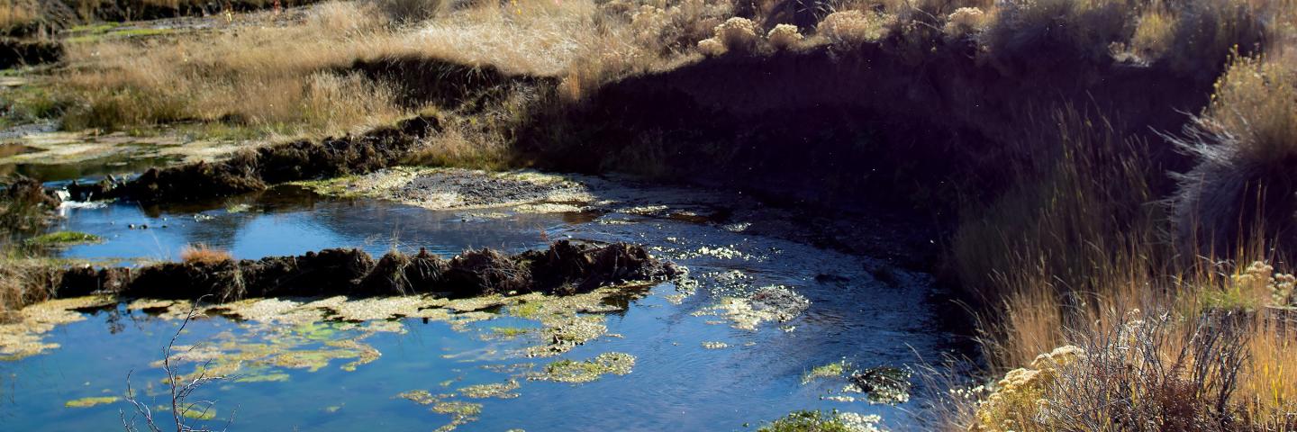 Beaver Dam Analogues in Beaver County
