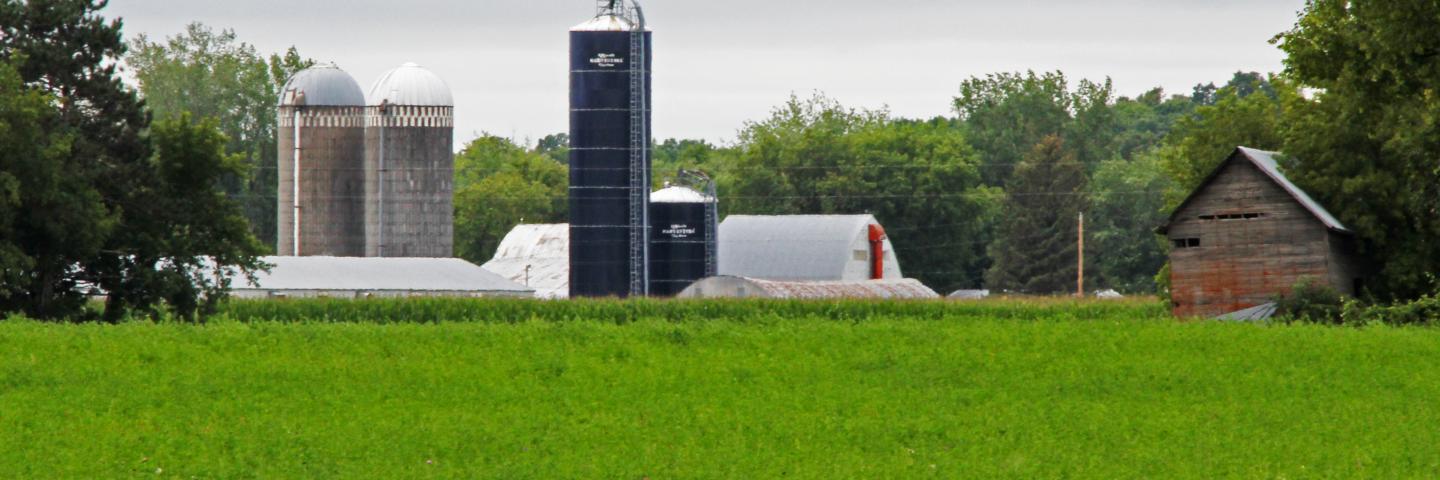 Minnesota Farmstead